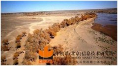  Conceptual Planning and Ecological New Area Planning of Ulanbuhe Desert Ecological Comprehensive Management Area on the West Bank of the Yellow River in Alxa League